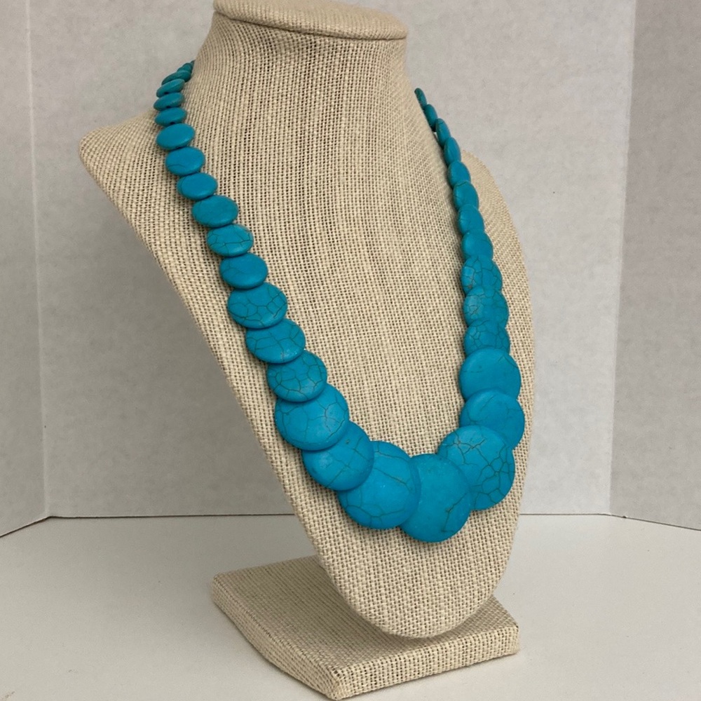 Beautiful Turquoise Howlite Coin necklace